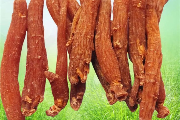 紅參泡酒的比例是多少 紅參泡酒搭配什么藥材好 紅參泡酒的比例是多少 紅參泡酒搭配什么藥材好