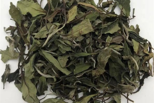 老白茶是發(fā)酵茶嗎 老白茶和普洱哪個好 老白茶是發(fā)酵茶嗎 老白茶和普洱哪個好