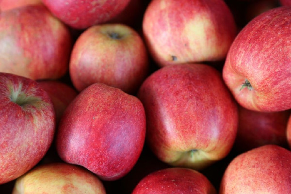 女子稱水果店買到雙皮蘋果 蘋果的營養(yǎng)價(jià)值和功效 女子稱水果店買到雙皮蘋果 蘋果的營養(yǎng)價(jià)值和功效