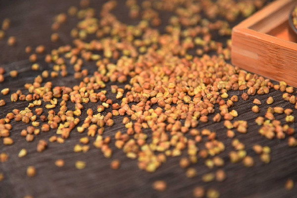 苦蕎茶會(huì)不會(huì)影響睡眠 苦蕎茶晚上可以喝嗎