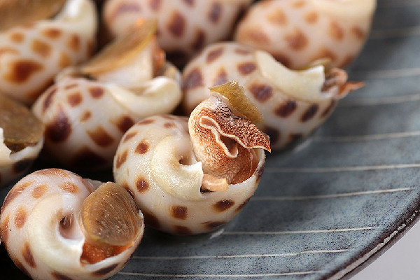 花螺要剪屁股嗎 花螺買回來(lái)怎么處理