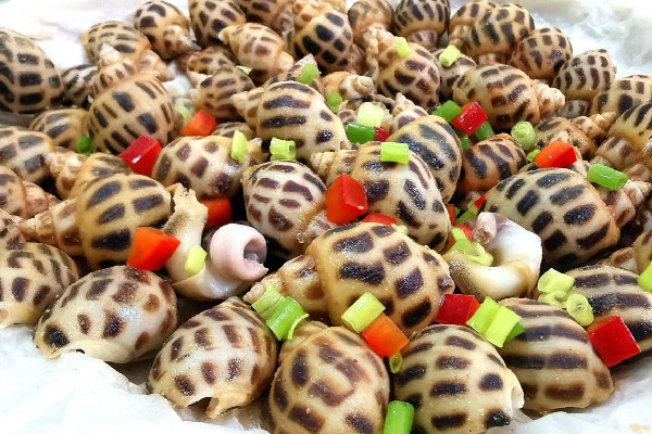 花螺有寄生蟲嗎 花螺可以生吃嗎 花螺有寄生蟲嗎 花螺可以生吃嗎