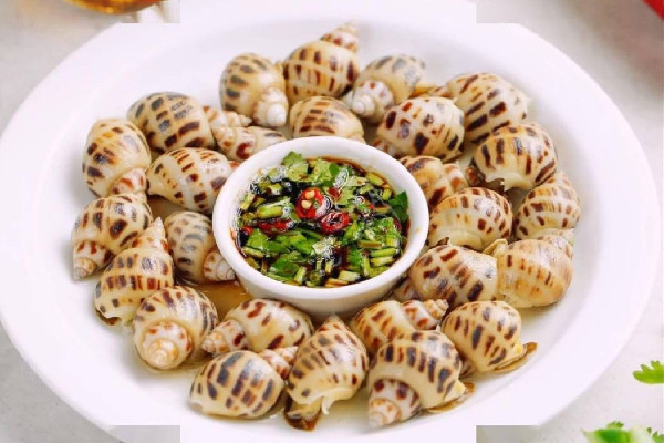 花螺要剪屁股嗎 花螺買回來(lái)怎么處理