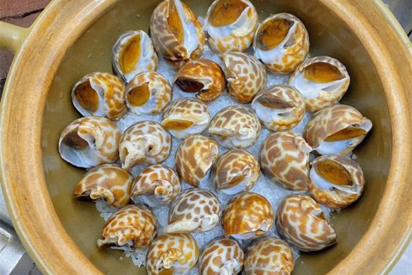 花螺怎么做好吃又簡單 花螺水開后煮幾分鐘 花螺怎么做好吃又簡單 花螺水開后煮幾分鐘
