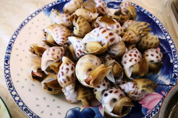 花螺有寄生蟲嗎 花螺可以生吃嗎 花螺有寄生蟲嗎 花螺可以生吃嗎