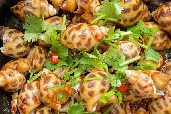 花螺多少錢一斤市場價(jià)2023 花螺是什么季節(jié)吃的 花螺多少錢一斤市場價(jià)2023 花螺是什么季節(jié)吃的