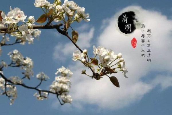 清明節(jié)可以提前一個(gè)月去上墳嗎 清明節(jié)上墳可以提前多少天 清明節(jié)可以提前一個(gè)月去上墳嗎 清明節(jié)上墳可以提前多少天