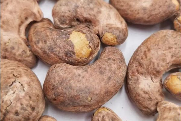 腰果的功效和作用 腰果可以補(bǔ)腎壯陽嗎