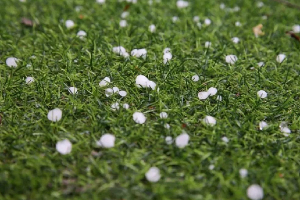 南方多地遭冰雹襲擊 冰雹是哪個(gè)季節(jié)下的
