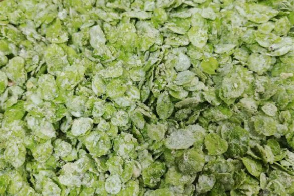 榆錢怎么做最好吃 榆錢可以涼拌吃嗎