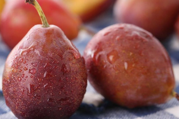 西梅有維生素c嗎 西梅可以補(bǔ)充什么營養(yǎng) 西梅有維生素c嗎 西梅可以補(bǔ)充什么營養(yǎng)