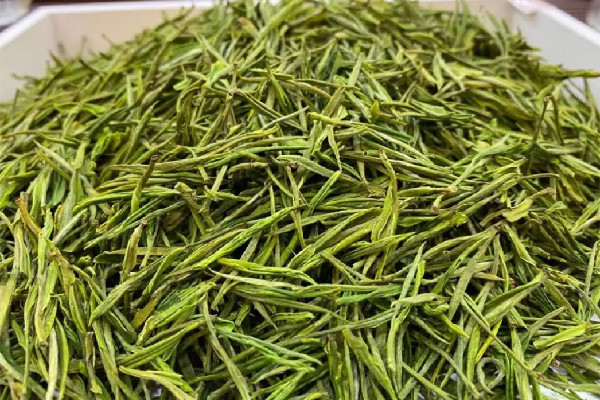 安吉白茶屬于哪類茶 安吉白茶是白茶嗎 安吉白茶屬于哪類茶 安吉白茶是白茶嗎