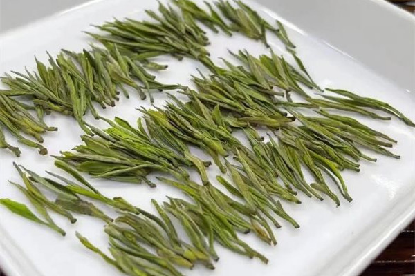 安吉白茶可以存放多長時間 安吉白茶放了三年還能喝嗎 安吉白茶可以存放多長時間 安吉白茶放了三年還能喝嗎