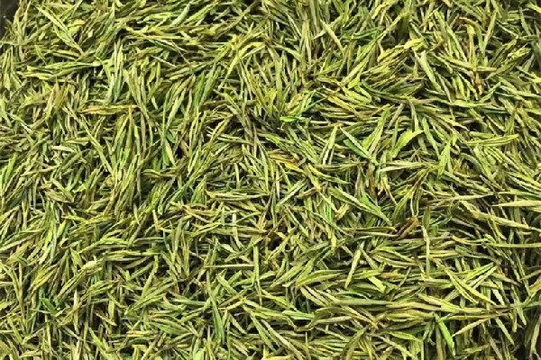 安吉白茶的功效和作用 安吉白茶可以減肥嗎 安吉白茶的功效和作用 安吉白茶可以減肥嗎