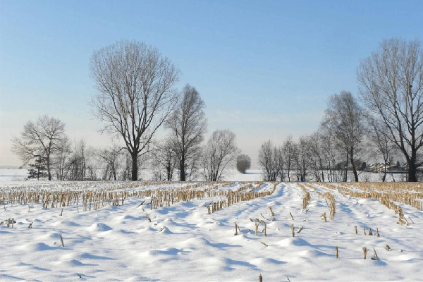 今年以來最大范圍雨雪來襲 雨雪天氣會影響飛機(jī)起飛嗎 今年以來最大范圍雨雪來襲 雨雪天氣會影響飛機(jī)起飛嗎