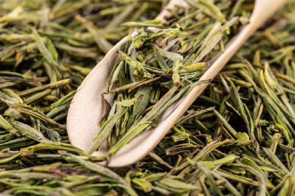 茶農(nóng)稱赤腳踩茶葉是傳統(tǒng)工藝 茶葉是怎么制作出來的