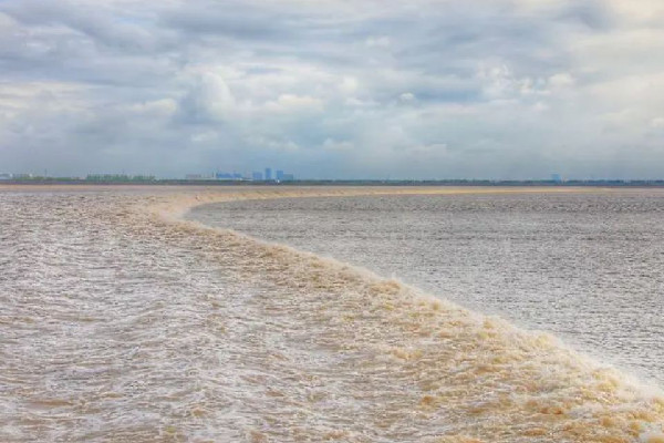 3人觀潮剛被勸離潮水涌來(lái) 觀潮什么時(shí)候最好