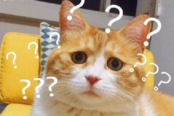 成都草莓音樂(lè)節(jié)一男子對(duì)警察豎中指 豎中指的含義是什么意思