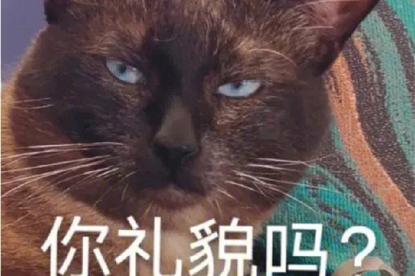 成都草莓音樂(lè)節(jié)一男子對(duì)警察豎中指 豎中指的含義是什么意思