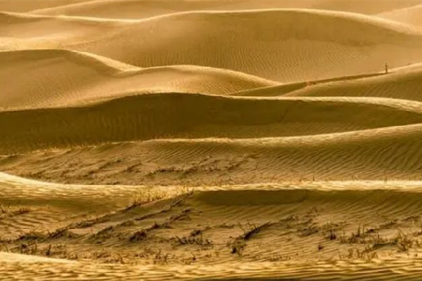 沙塵暴從何而來造林防沙效果如何 沙塵暴會(huì)持續(xù)多久 沙塵暴從何而來造林防沙效果如何 沙塵暴會(huì)持續(xù)多久