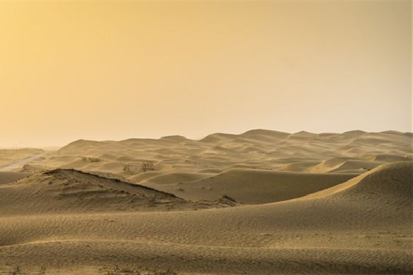 沙塵暴從何而來造林防沙效果如何 沙塵暴會(huì)持續(xù)多久 沙塵暴從何而來造林防沙效果如何 沙塵暴會(huì)持續(xù)多久