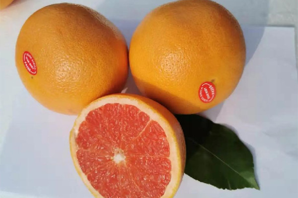 葡萄柚會(huì)影響藥效嗎 葡萄柚和什么藥不能一起吃 葡萄柚會(huì)影響藥效嗎 葡萄柚和什么藥不能一起吃