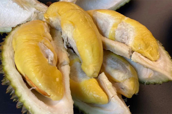 黑刺榴蓮要解凍多久 黑刺榴蓮解凍后能放多久 黑刺榴蓮要解凍多久 黑刺榴蓮解凍后能放多久