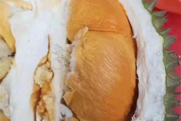 黑刺榴蓮的特點(diǎn) 黑刺榴蓮的核大還是小