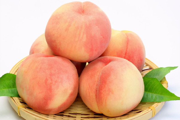 水蜜桃是幾月份的水果 水蜜桃什么品種好吃 水蜜桃是幾月份的水果 水蜜桃什么品種好吃