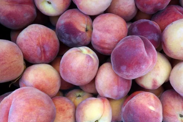 水蜜桃的功效和作用 水蜜桃吃了會上火嗎 水蜜桃的功效和作用 水蜜桃吃了會上火嗎