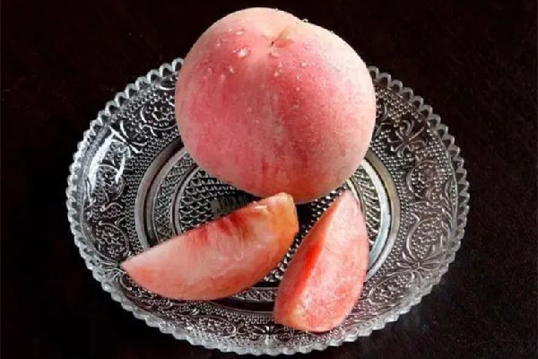毛桃是什么季節(jié)的 毛桃是哪里的特產(chǎn) 毛桃是什么季節(jié)的 毛桃是哪里的特產(chǎn)