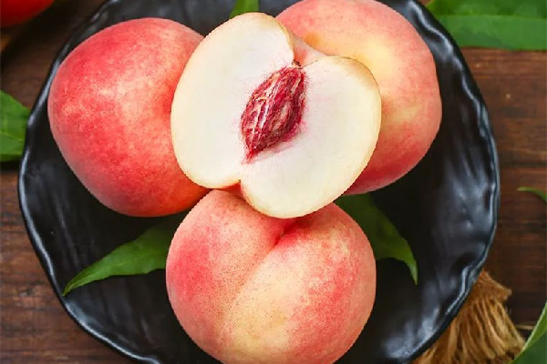 毛桃是什么季節(jié)的 毛桃是哪里的特產(chǎn) 毛桃是什么季節(jié)的 毛桃是哪里的特產(chǎn)