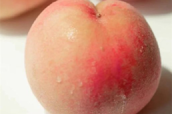 水蜜桃是幾月份的水果 水蜜桃什么品種好吃 水蜜桃是幾月份的水果 水蜜桃什么品種好吃