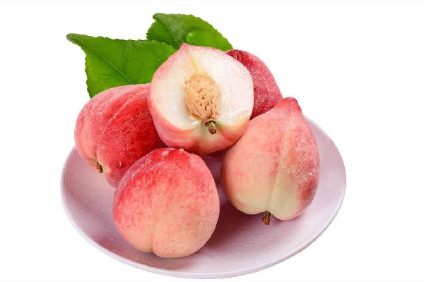 毛桃會(huì)引起蕁麻疹嗎 毛桃對(duì)皮膚好嗎 毛桃會(huì)引起蕁麻疹嗎 毛桃對(duì)皮膚好嗎