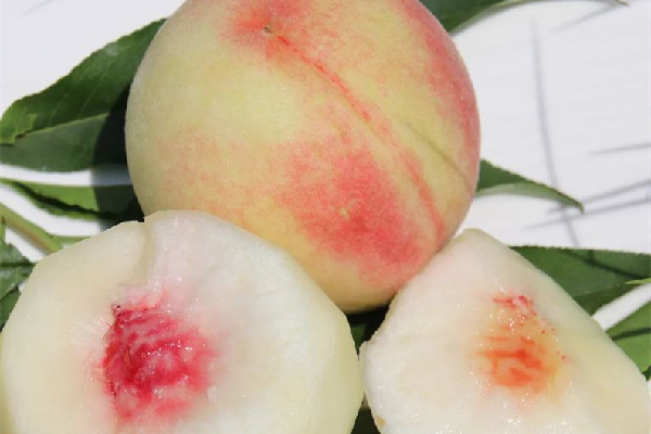 水蜜桃怎么洗才干凈 水蜜桃可以用鹽洗嗎 水蜜桃怎么洗才干凈 水蜜桃可以用鹽洗嗎