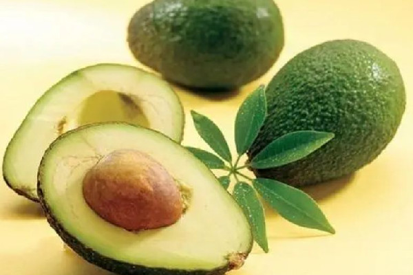 牛油果會(huì)拉肚子嗎 牛油果會(huì)有油嗎 牛油果會(huì)拉肚子嗎 牛油果會(huì)有油嗎