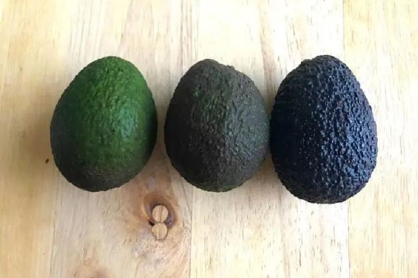 牛油果會(huì)拉肚子嗎 牛油果會(huì)有油嗎 牛油果會(huì)拉肚子嗎 牛油果會(huì)有油嗎