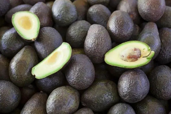 牛油果會(huì)拉肚子嗎 牛油果會(huì)有油嗎 牛油果會(huì)拉肚子嗎 牛油果會(huì)有油嗎