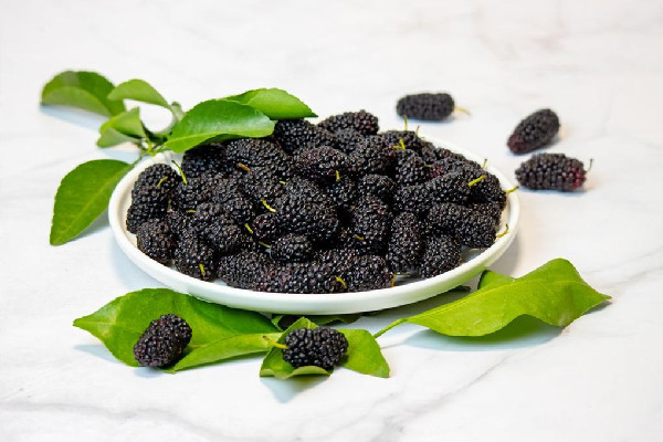 桑葚曬干了還有營養(yǎng)嗎 桑葚曬多久成干 桑葚曬干了還有營養(yǎng)嗎 桑葚曬多久成干