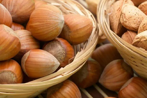 堅(jiān)果有哈喇味還能吃嗎 堅(jiān)果可以放多長(zhǎng)時(shí)間 堅(jiān)果有哈喇味還能吃嗎 堅(jiān)果可以放多長(zhǎng)時(shí)間